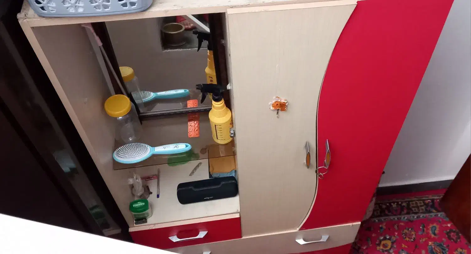 کمد نوجوان|جاکفشی، کمد، دراور|مرودشت, فرهنگ|دیوار