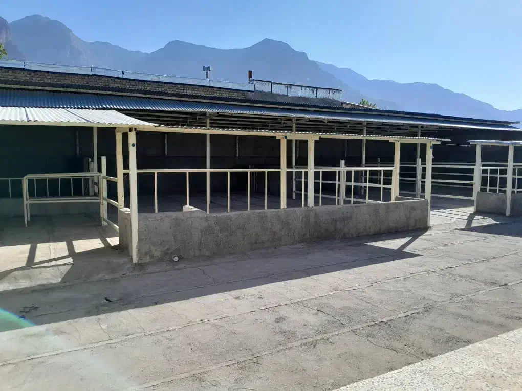 گاوداری|فروش دفتر صنعتی، کشاورزی، تجاری|چگنی, |دیوار