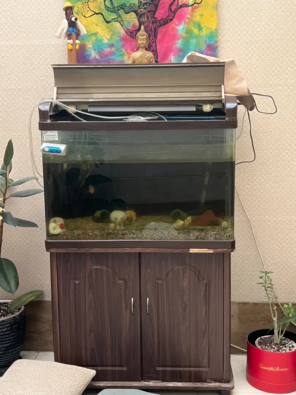 آکواریوم شیشه خم خارجی|ماهی|تهران, هروی|دیوار