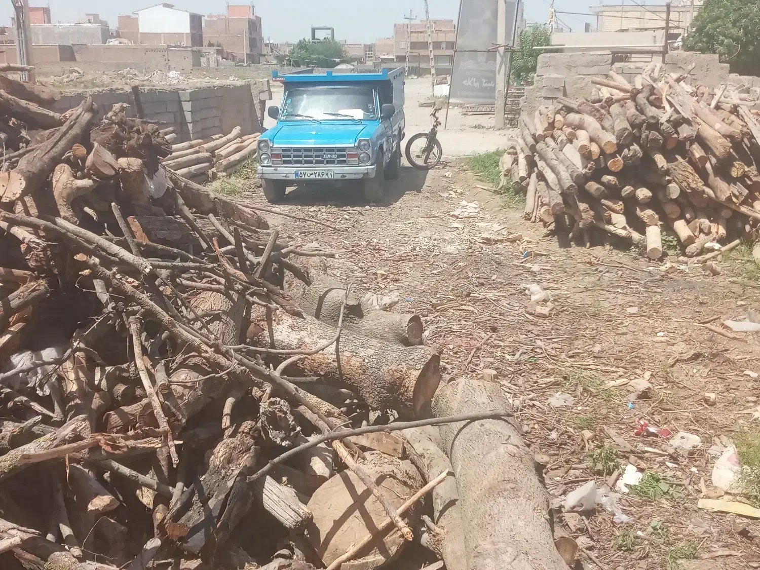 خریدار انواع چوب|خدمات باغبانی و درختکاری|پارس‌آباد, |دیوار