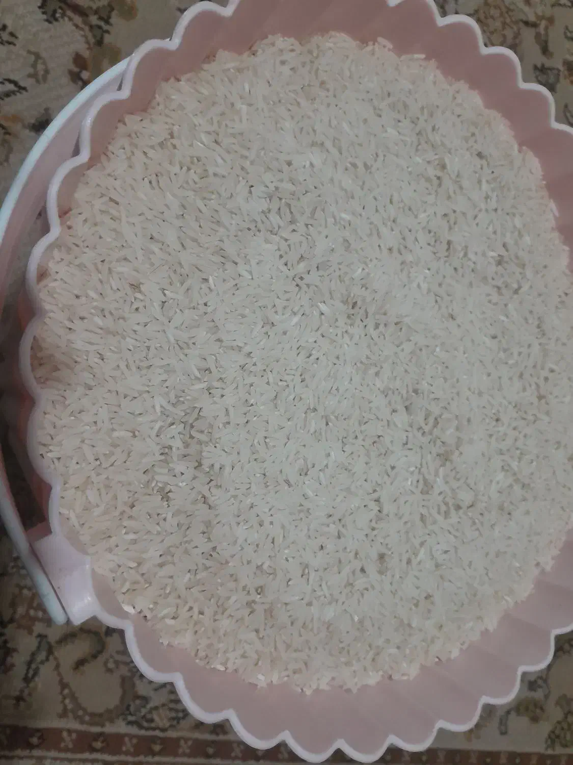 برنج طارم  برنج فجر   برنج ندا|عمده‌فروشی|گرگان, |دیوار