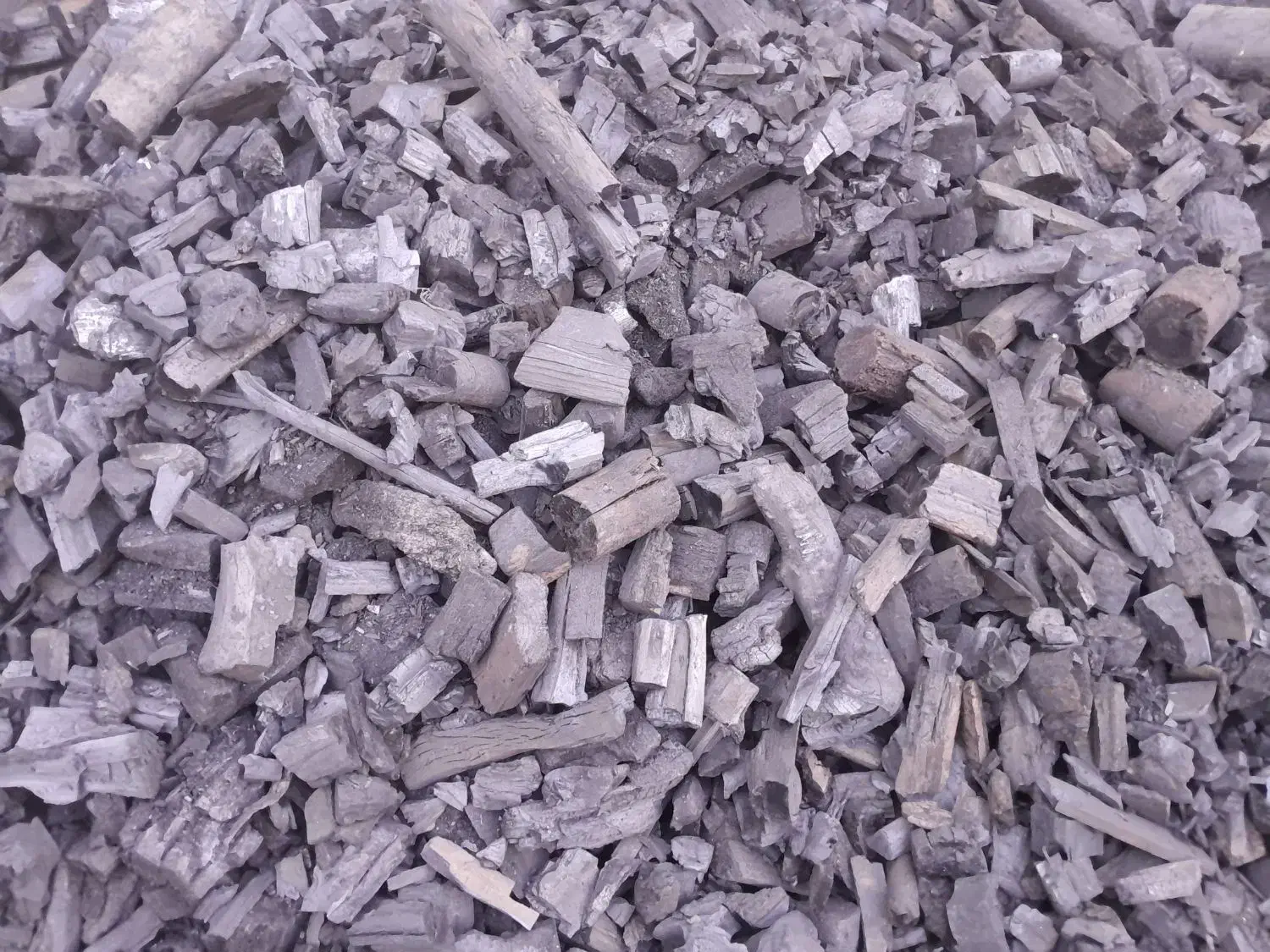 ذغآل کبابی خودسوز کاج|کوهنوردی و کمپینگ|شاهنجرین, |دیوار