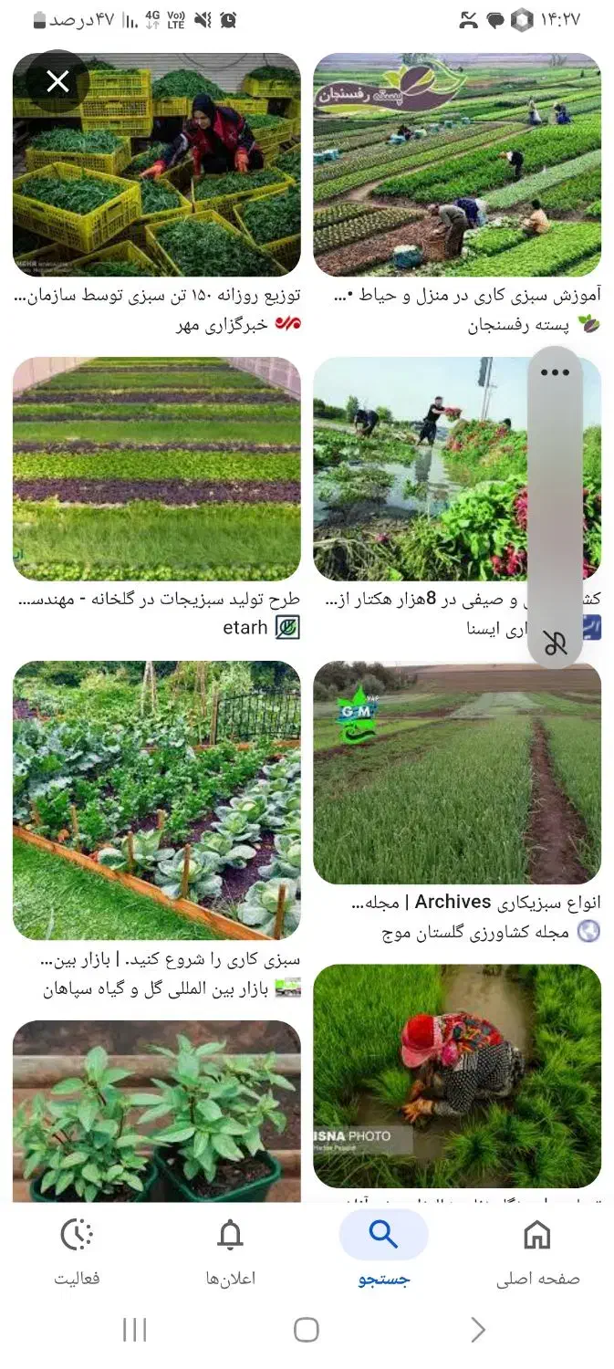 سبزی وصیفی|استخدام صنعتی، فنی، مهندسی|نیشابور, فضل|دیوار