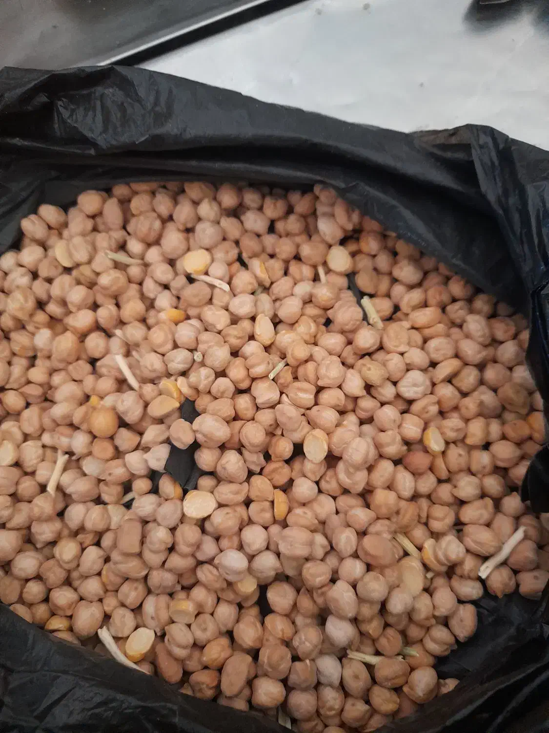 نخودتازه|خوردنی و آشامیدنی|الیگودرز, |دیوار