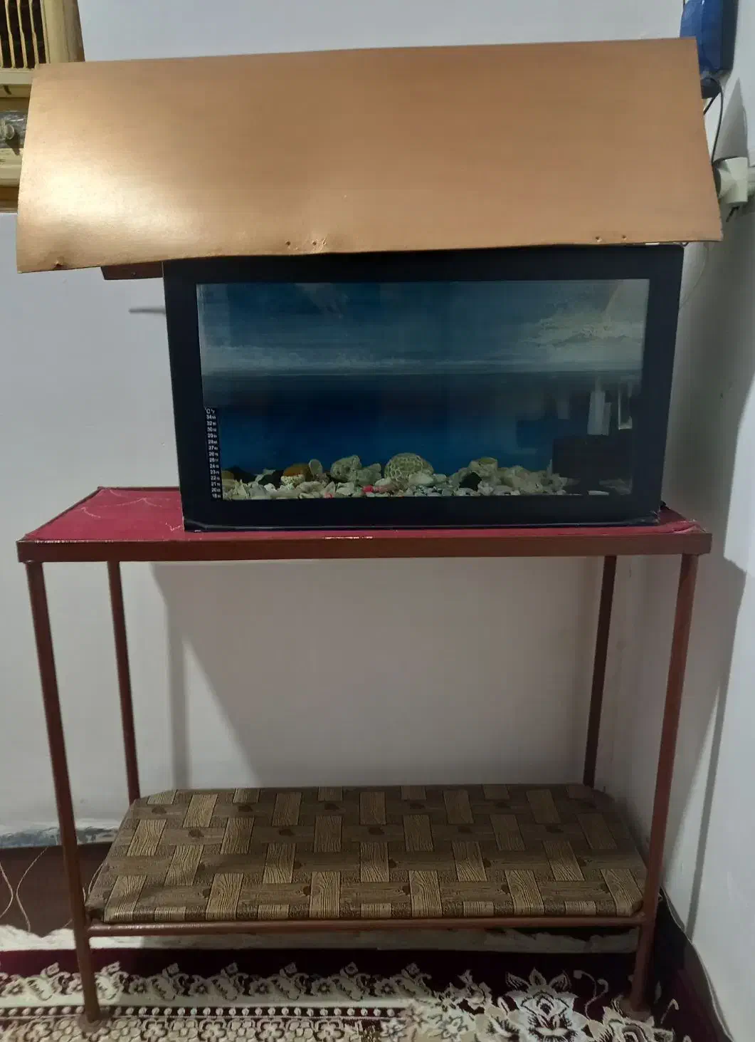 آکواریوم|ماهی|مسجد سلیمان, |دیوار