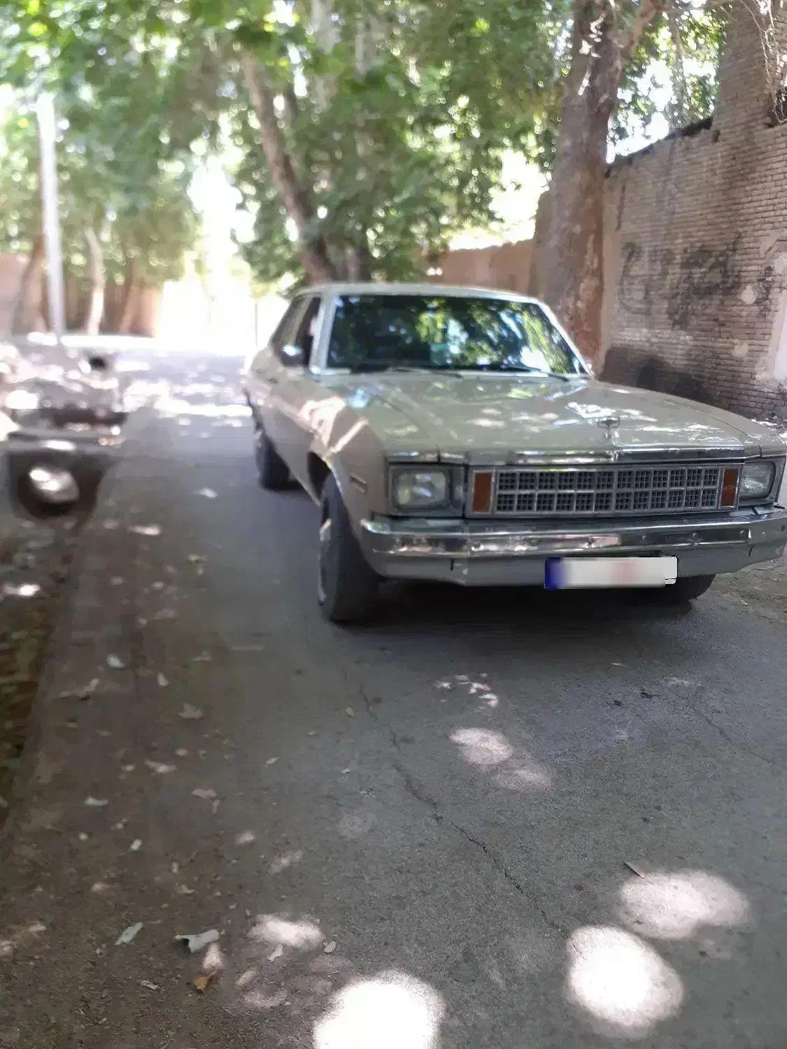 شورلت نوا سی ۶ مدل ۶۴ اتومات|خودرو کلاسیک|خمینی‌شهر, |دیوار