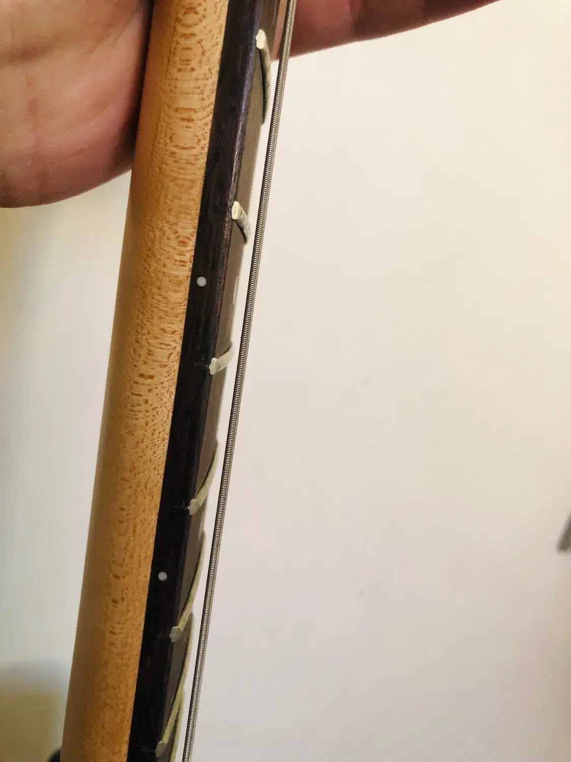 گیتار الکتریک ایبانز سری قدیم|گیتار، بیس، امپلیفایر|تبریز, |دیوار