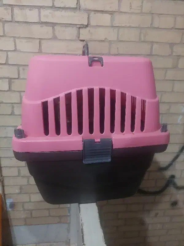 باکس سگ و...|لوازم جانبی حیوانات|یزد, |دیوار