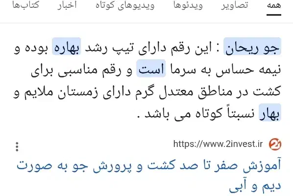 جو بذری بهاره|گل و گیاه طبیعی|بجنورد, |دیوار