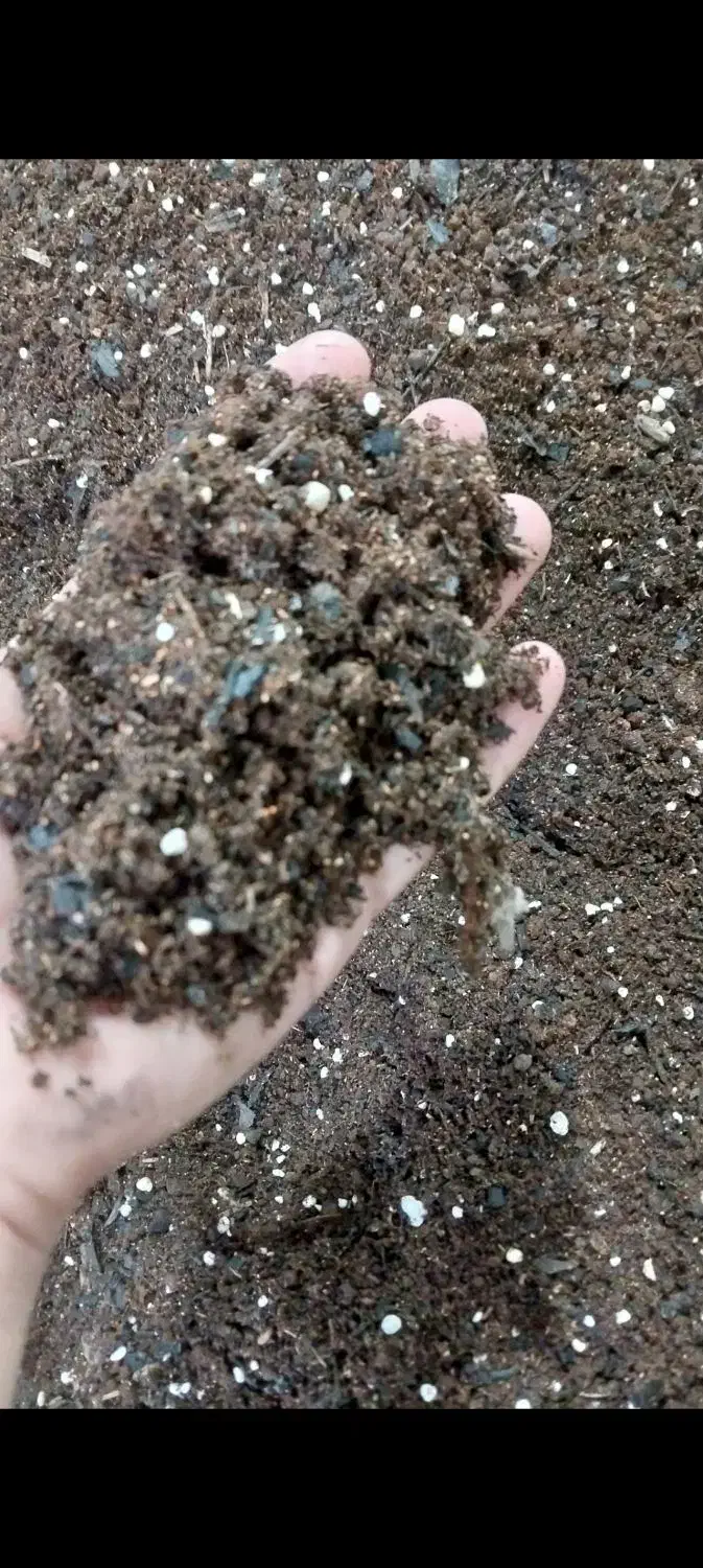 خاک مخصوص گیاهان آپارتمانی و سینی نشا و سبزی جات|گل و گیاه طبیعی|رودسر, |دیوار