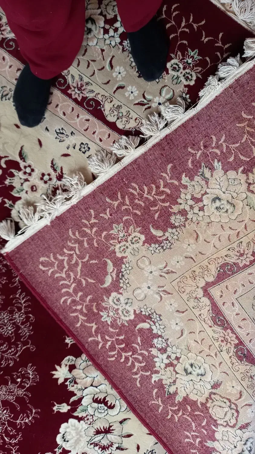 فرش تمیز سالم|فرش|کرمانشاه, |دیوار