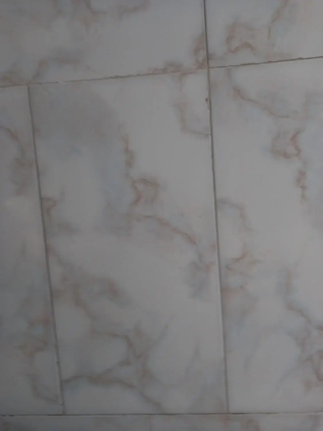 بنائی سفکاری سر امیک و موزائیک کار|خدمات پیشه و مهارت|شیروان (خراسان), |دیوار