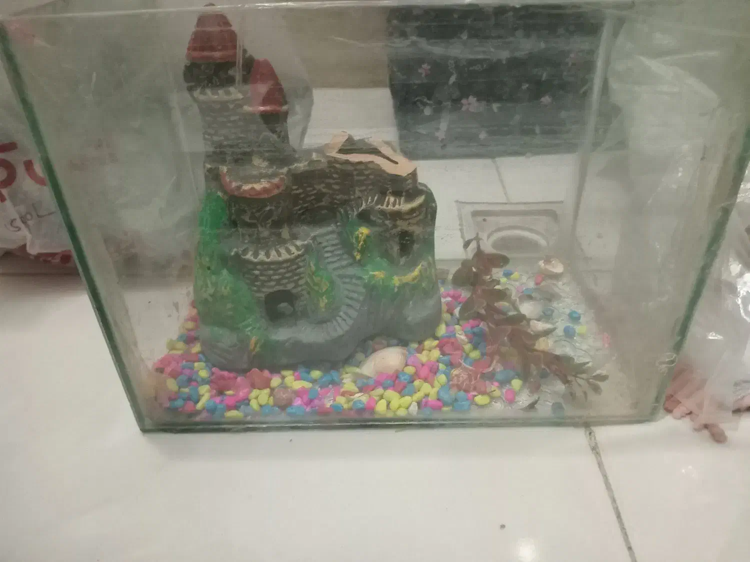 آکواریوم باپمپ|ماهی|تهران, جیحون|دیوار