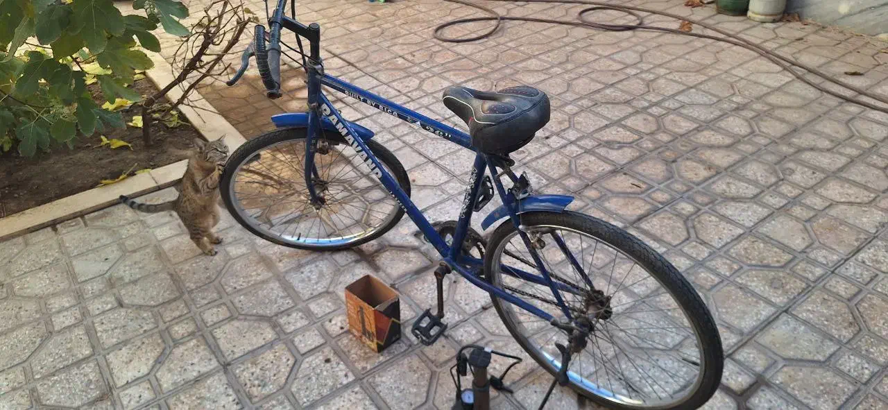 دوچرخه دماوند 26|دوچرخه، اسکیت، اسکوتر|شاهین‌شهر, مخابرات (شهید بهشتی)|دیوار