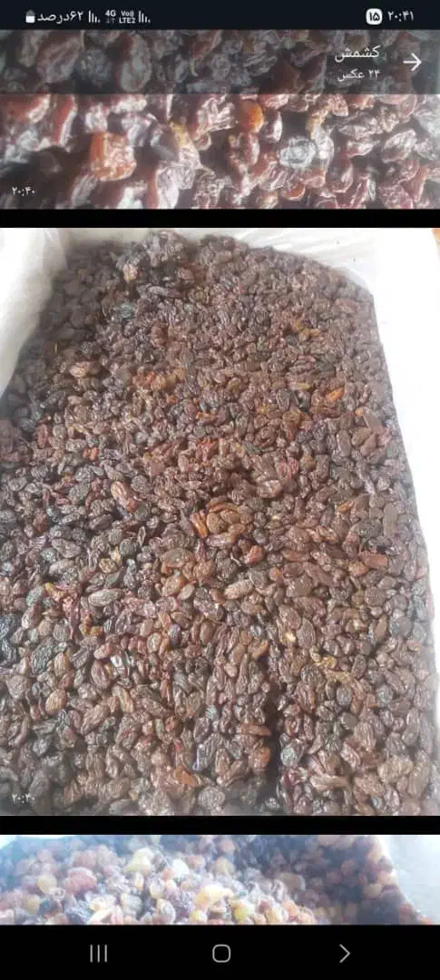 کشمش افتابی سایه خشک مویز شیره خرما انگور شانی|خوردنی و آشامیدنی|تهران, میدان میوه و ترهبار مرکزی|دیوار