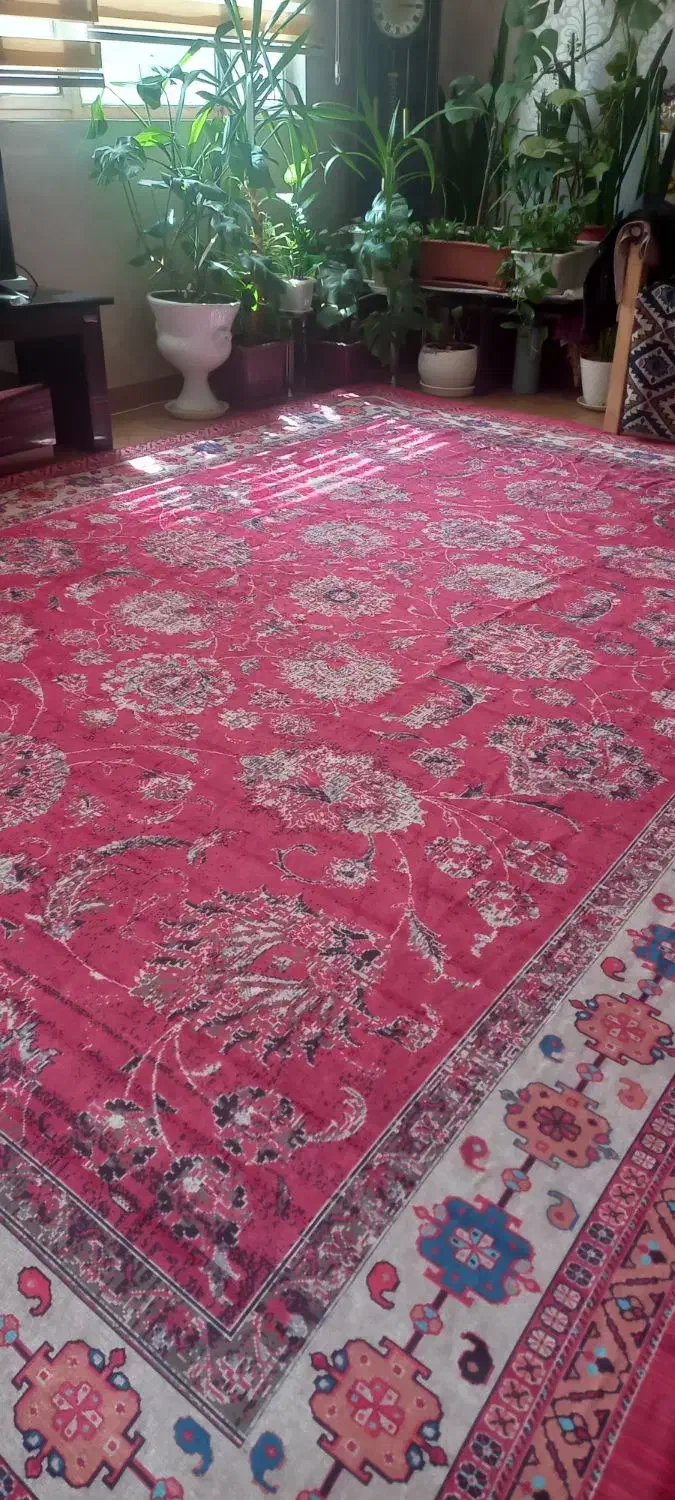 دوتا روفرشی|روفرشی|اراک, |دیوار