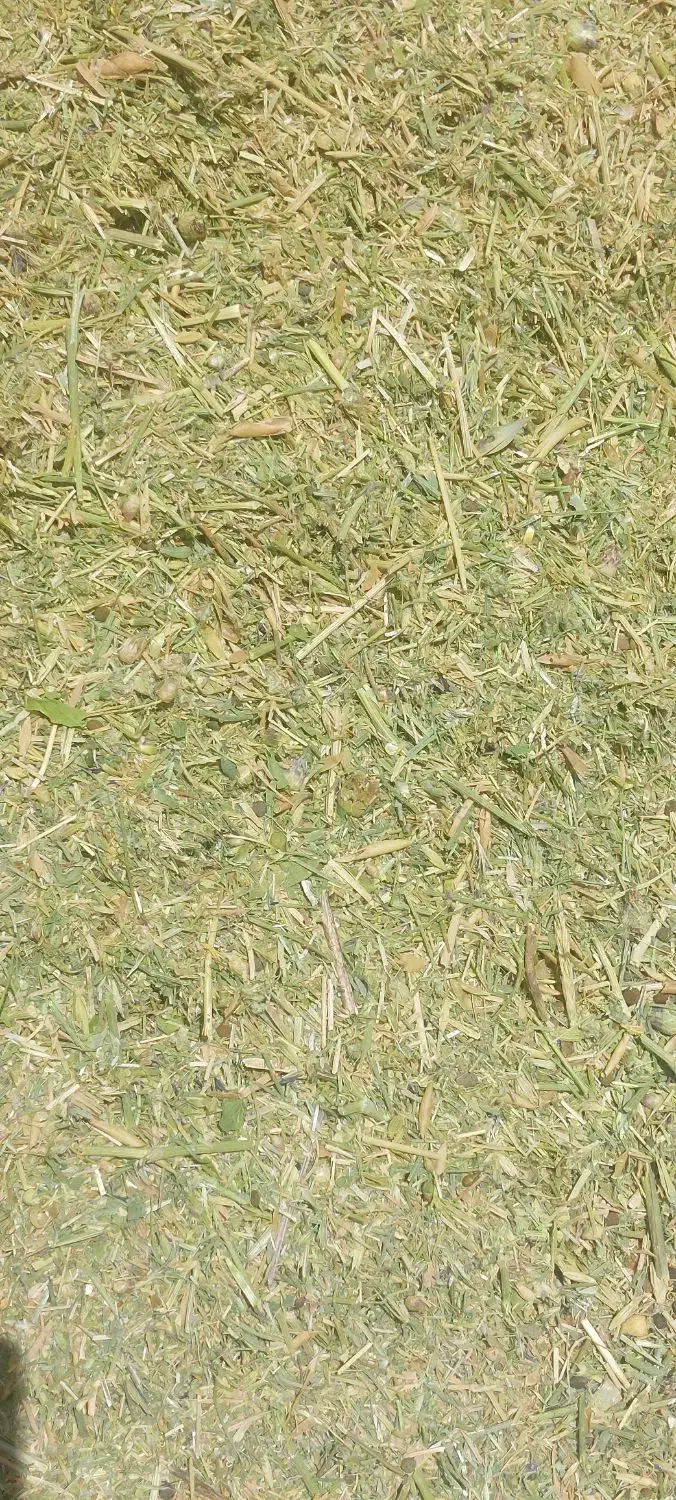 علف خوردشده۲۰۰۰۰۰|خدمات باغبانی و درختکاری|لاران, |دیوار