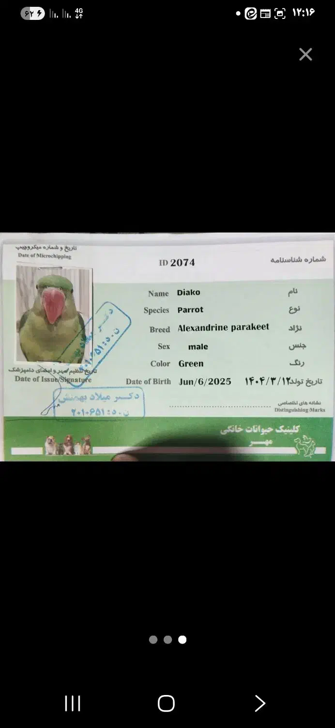 شاه طوطی|پرنده|نیشابور, بنیاد شهید|دیوار