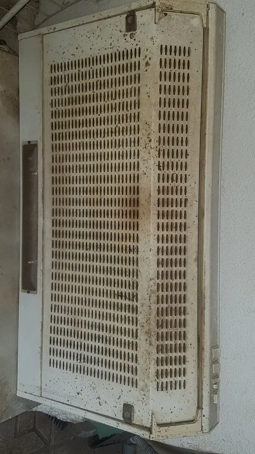 هود کارکرده سالم|هود|نیشابور, سرآب کوشک|دیوار