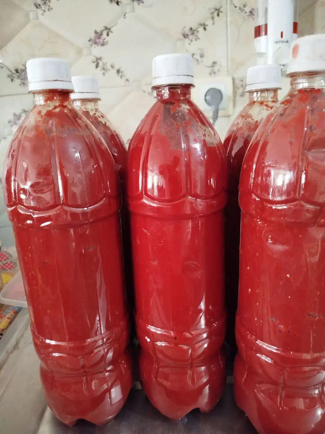 سبزیجات آماده پنیر لیقوان کره ترشی رب|خوردنی و آشامیدنی|ایلخچی, |دیوار