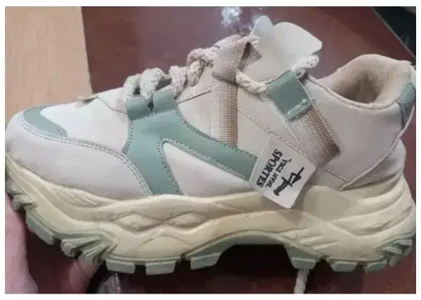 کتونی|کیف، کفش، کمربند|دهدشت, |دیوار