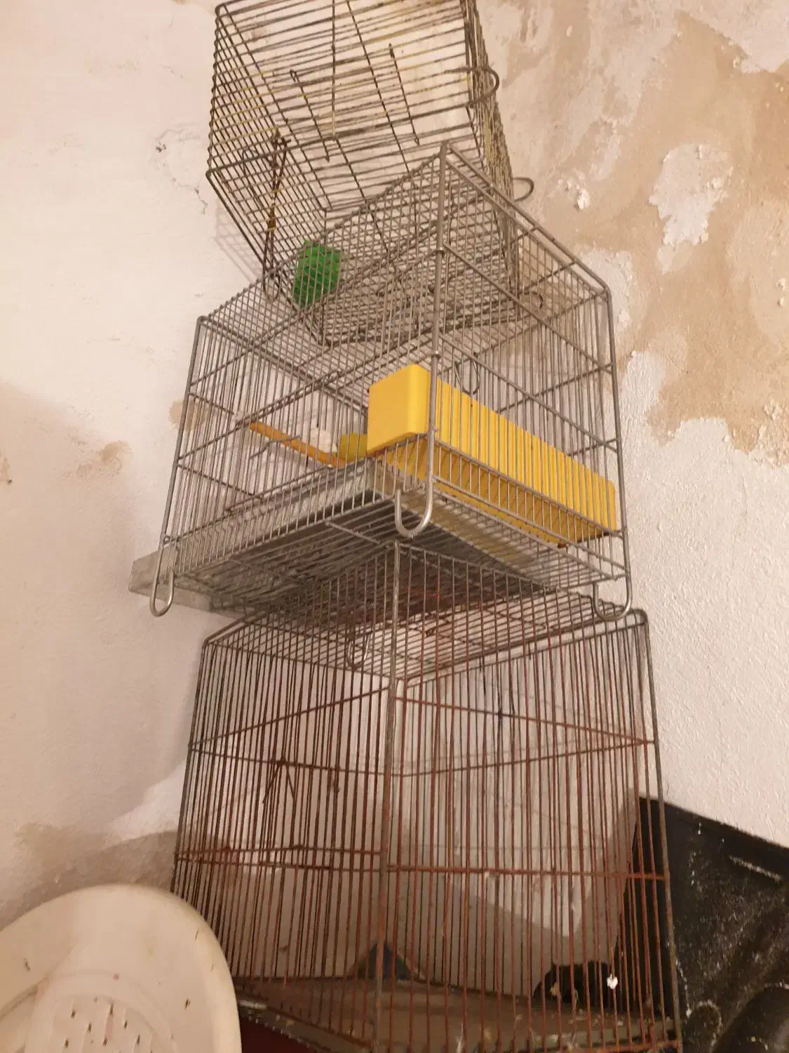 چندعدد قفس پرنده|لوازم جانبی حیوانات|رشت, لاکانی|دیوار