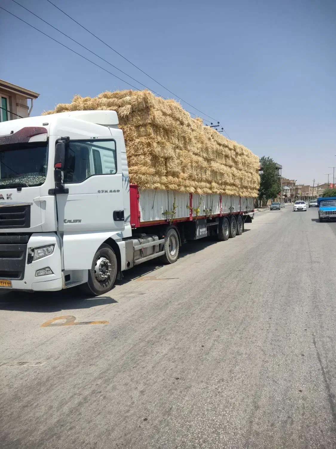 یونجه .کلش .جو درجه یک|لوازم جانبی حیوانات|اشکذر, |دیوار