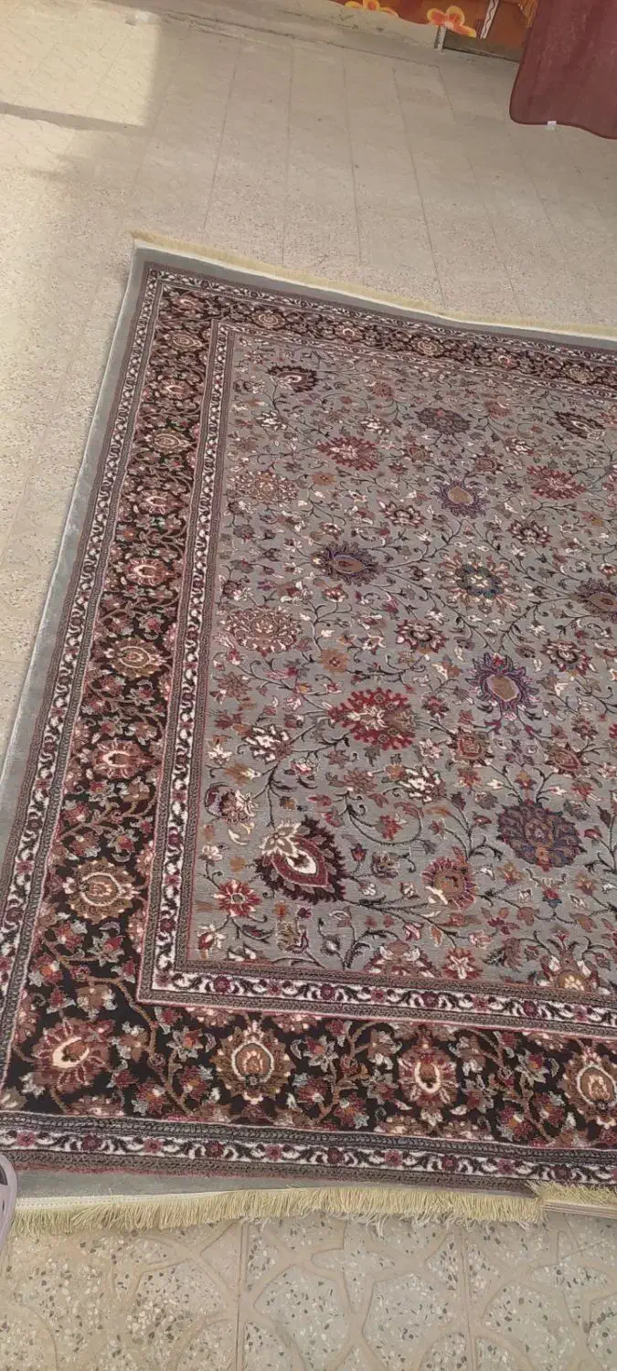 فرش نو پلم|فرش|برازجان, |دیوار