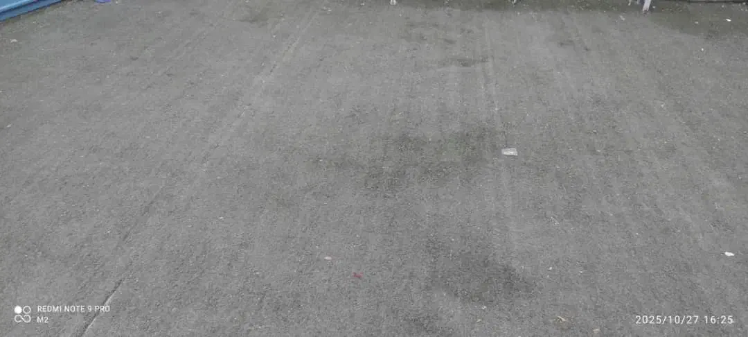 چمن مصنوعی|گل مصنوعی|شیراز, کلاهدوز|دیوار