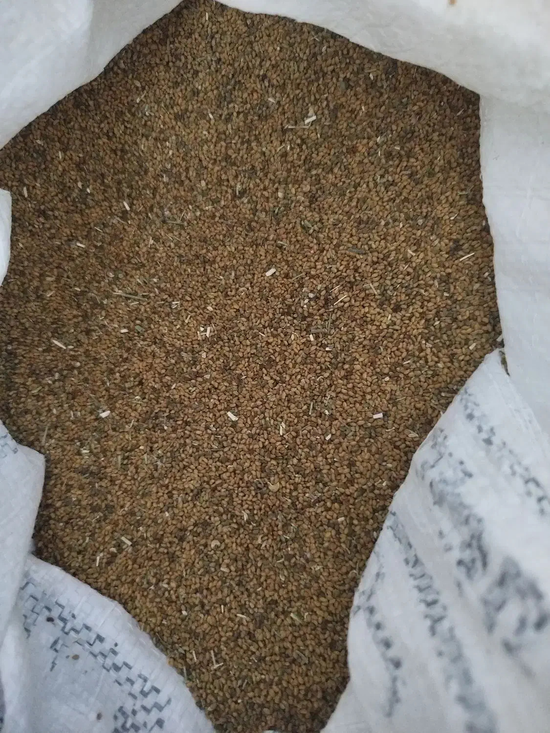 تخم یونجه|خدمات باغبانی و درختکاری|جنت, |دیوار