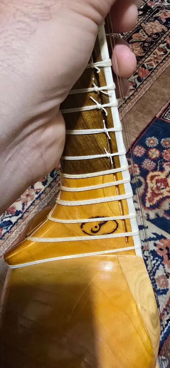 تار چهار گل|سازهای سنتی|تهران, فلسطین (میدان انقلاب)|دیوار