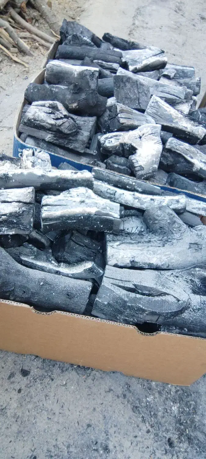 تولید زغال سیب لاخول زبون گنجشک بادام|عمده‌فروشی|کیار, |دیوار