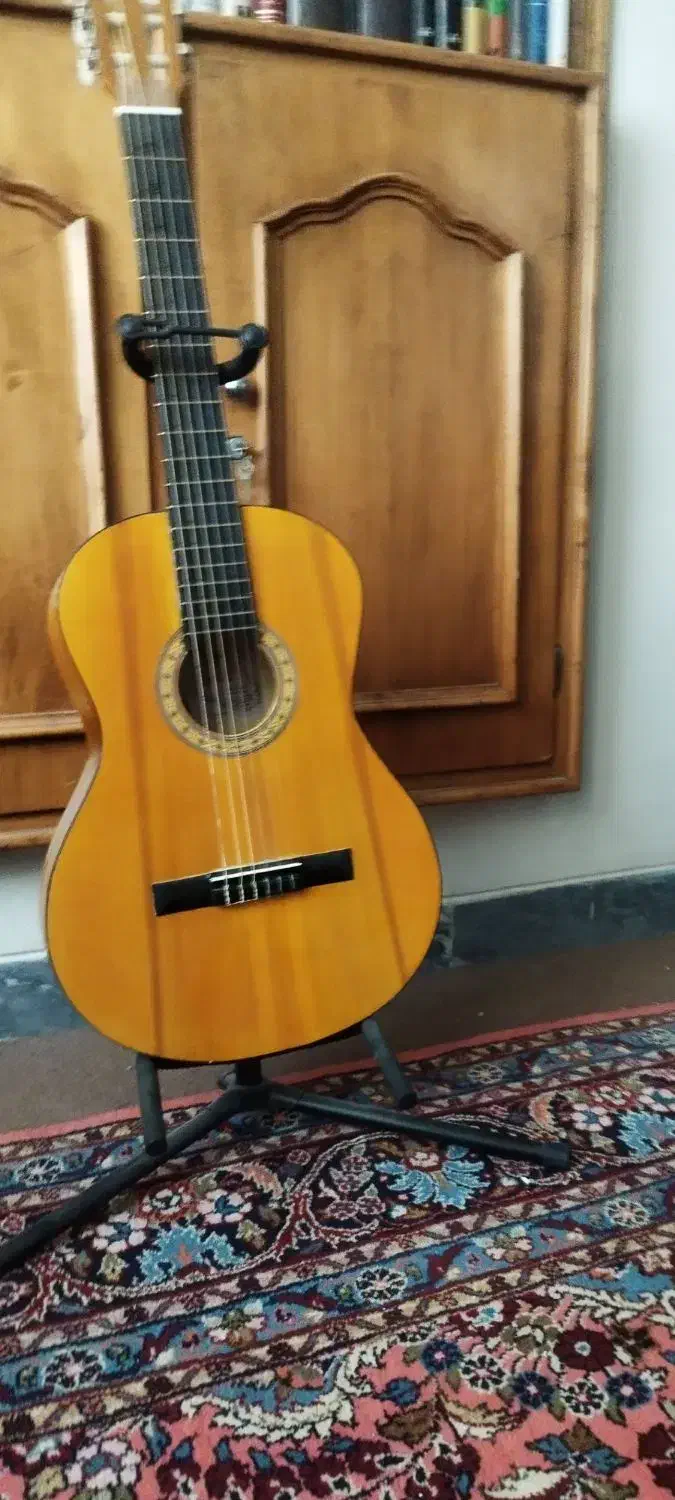 گیتار|گیتار، بیس، امپلیفایر|همدان, |دیوار