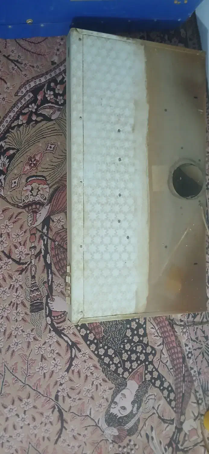 هود سالم|هود|زاهدان, |دیوار