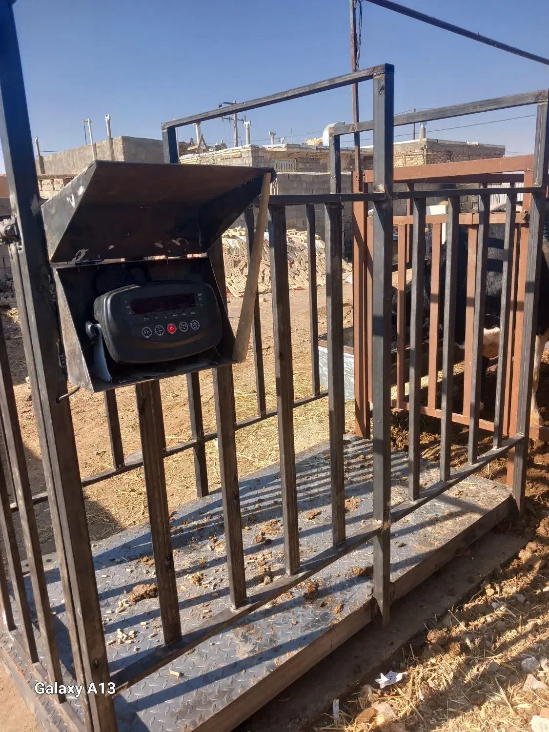 باسکول‌دامکش‌‌گاو‌گوساله‌|ابزارآلات|تربت جام, جلگه موسی آباد|دیوار