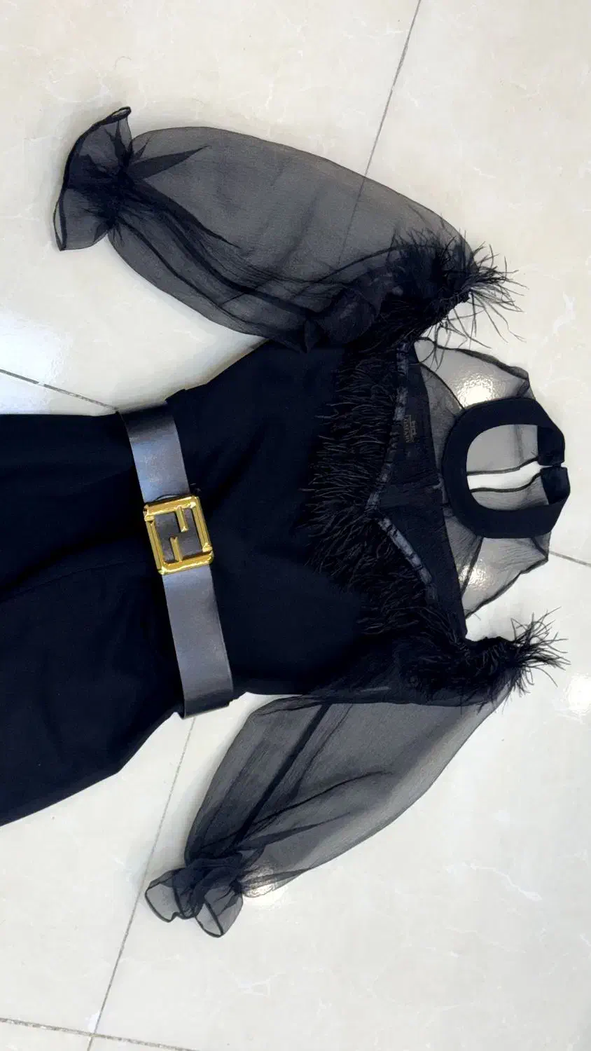 لباس مجلسی|لباس|اصفهان, باغ دریاچه|دیوار