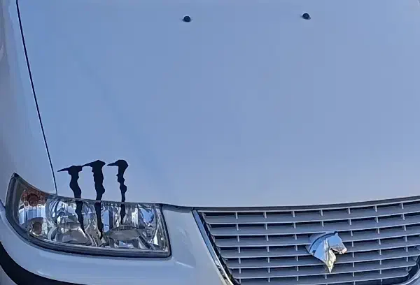 سمند داشبورد جدید|خودرو سواری و وانت|ایلام, |دیوار