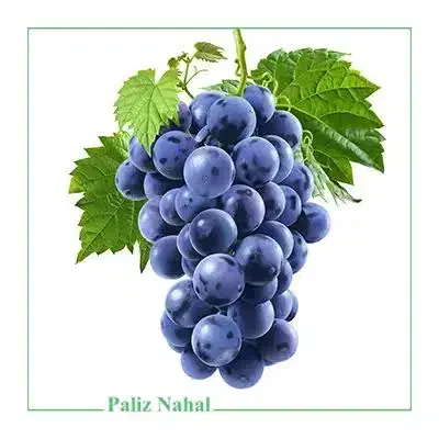 انگور|خوردنی و آشامیدنی|کرمانشاه, |دیوار