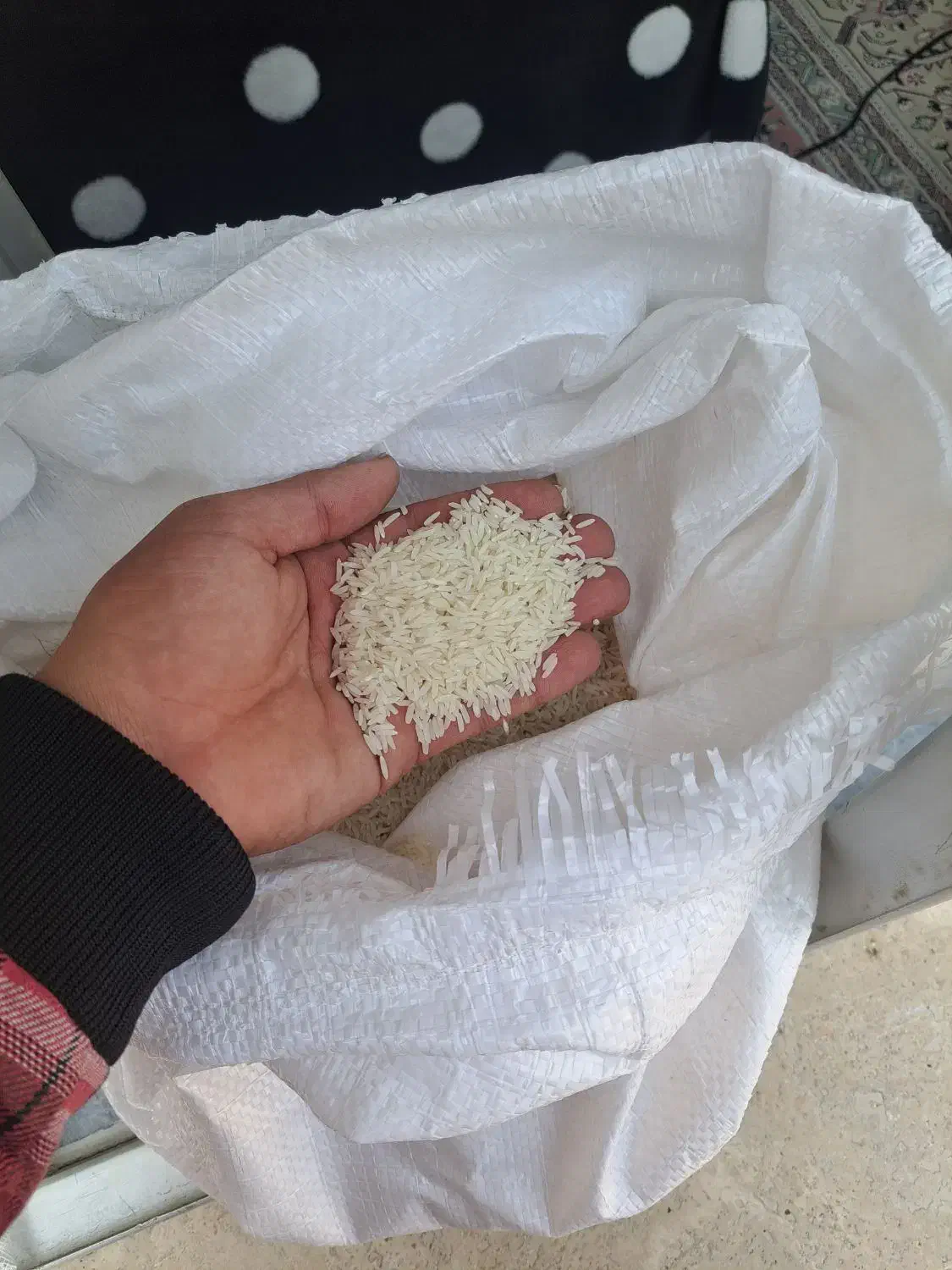 برنج هاشمی درجه ۱ امسال|خوردنی و آشامیدنی|اردبیل, |دیوار