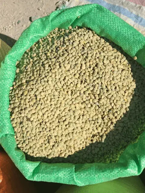 لوبیه چیتی تازه ۳۵۰۰۰۰|خوردنی و آشامیدنی|تبریز, |دیوار