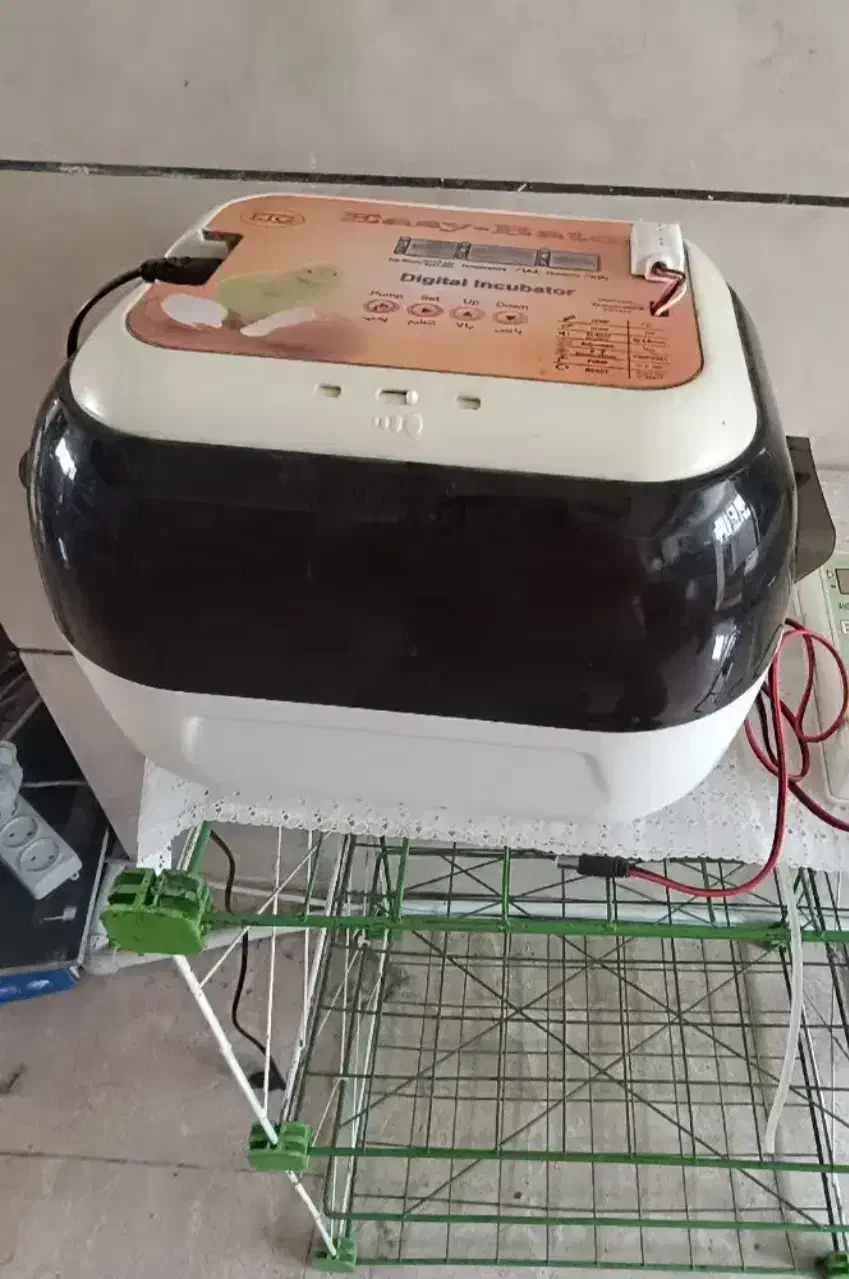 دستگاه جوجه کشی ایزوتور ۵|ماشین‌آلات صنعتی|ماهنشان, |دیوار