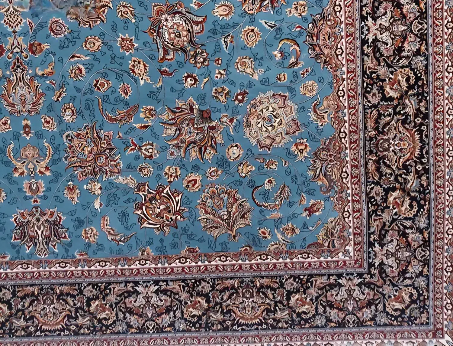 فرش نگین مشهد|فرش|ایلام, |دیوار