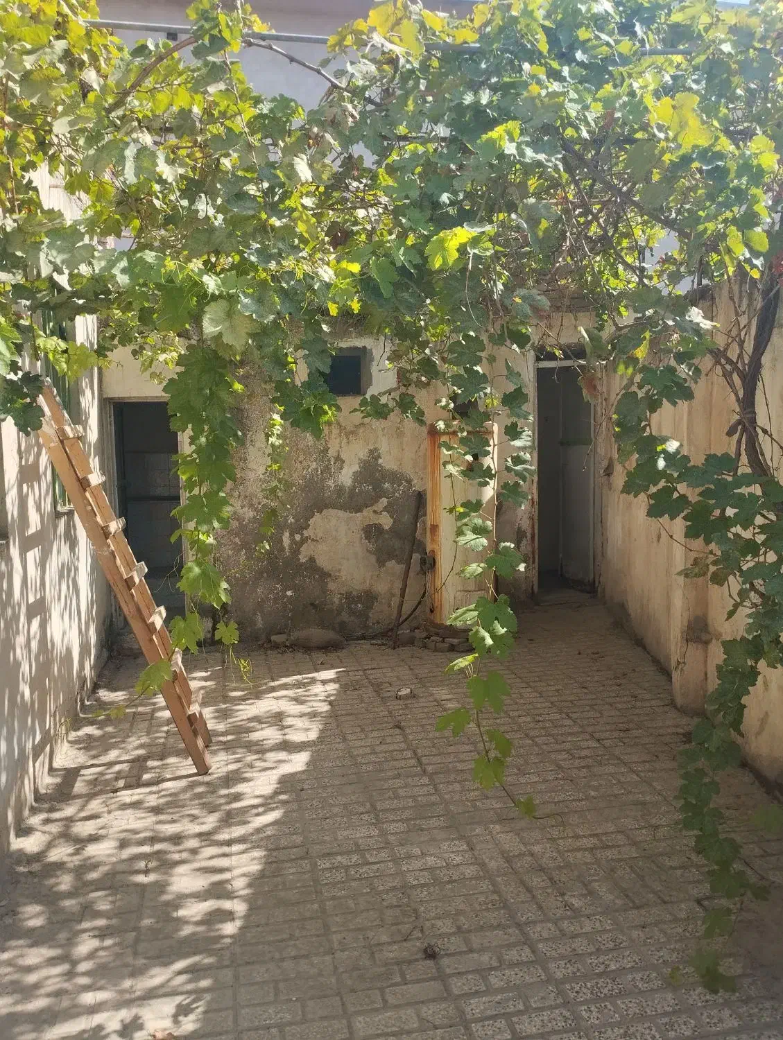 خانه اجاره ی|اجارهٔ خانه و ویلا|نگین شهر, |دیوار