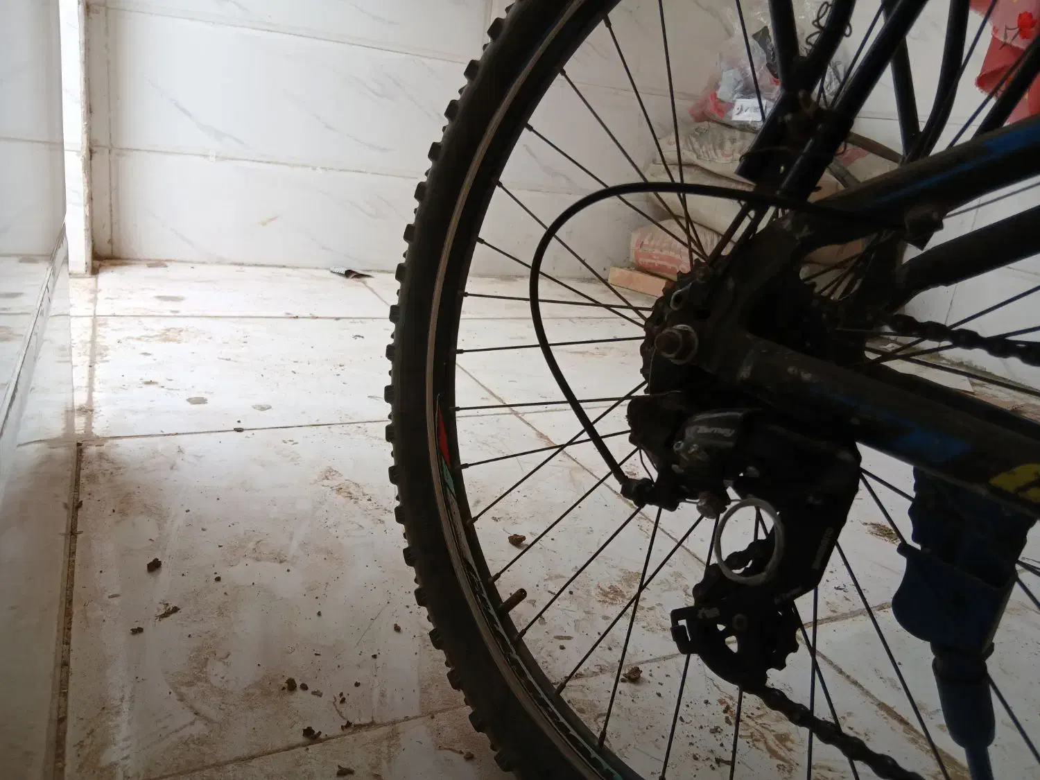 حسین|دوچرخه، اسکیت، اسکوتر|مشهد, تبادکان|دیوار