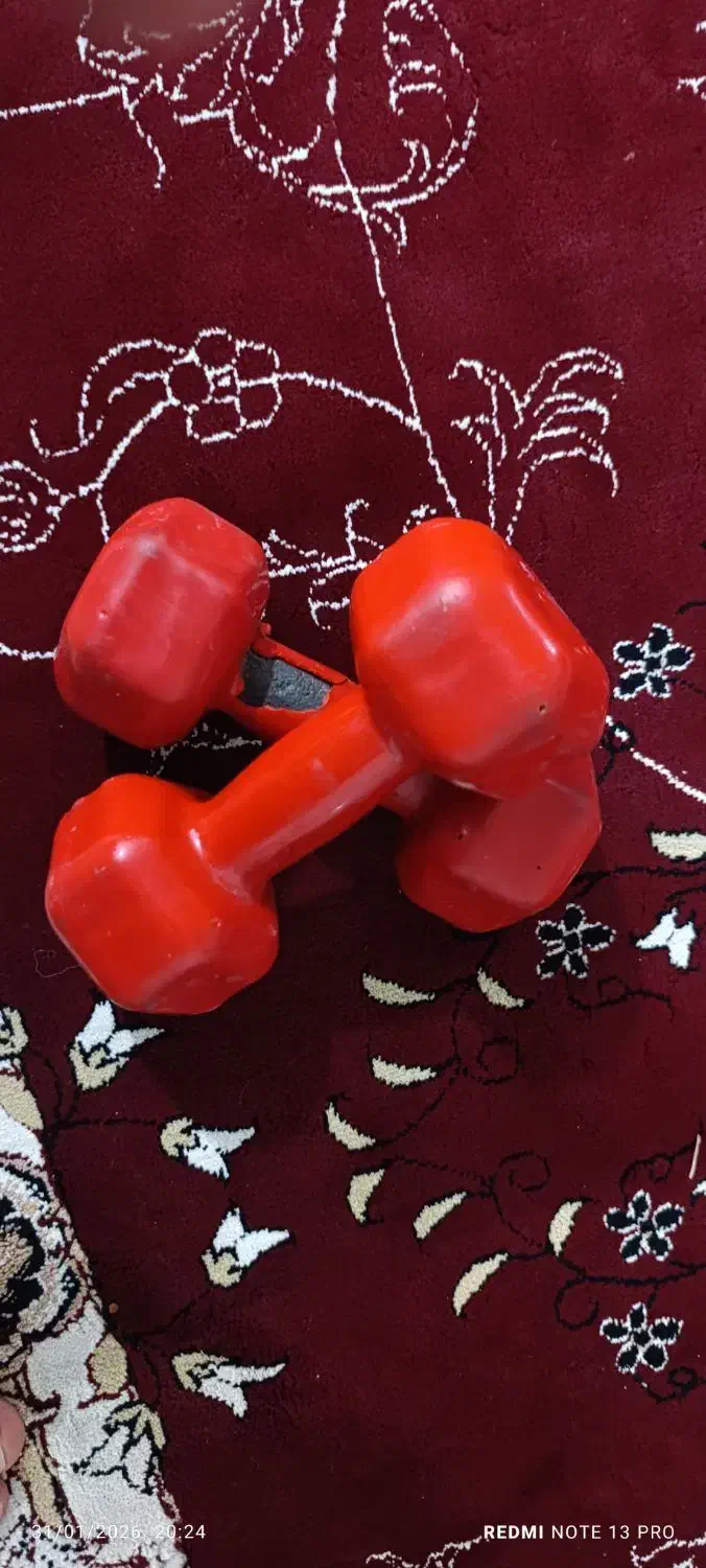 دمبل 5کیلویی|تجهیزات ورزشی|گنبد کاووس, |دیوار