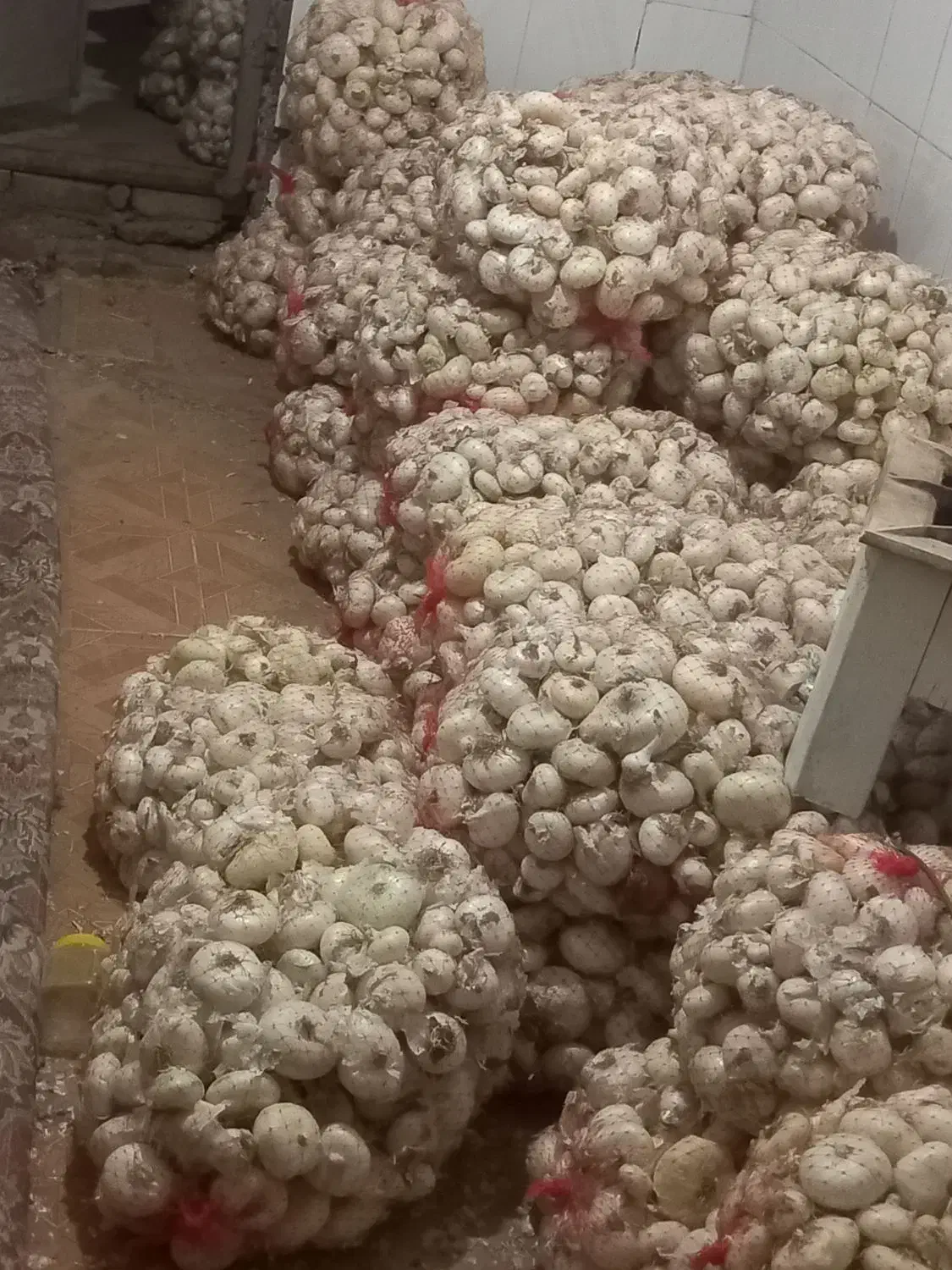 پیاز خوردن|خوردنی و آشامیدنی|زاوه, |دیوار