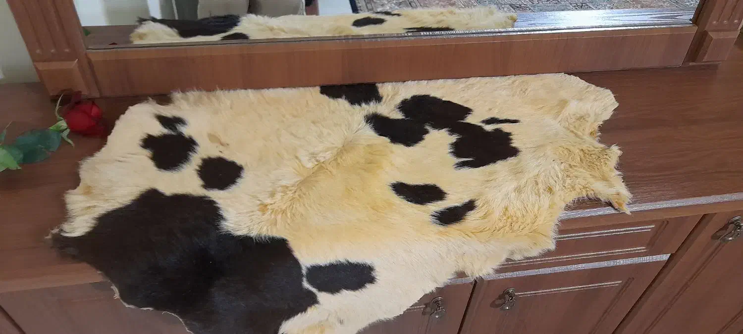 پوست گاو|صنایع دستی و سایر لوازم تزئینی|مشهد, مشکینی (شهرک غرب)|دیوار