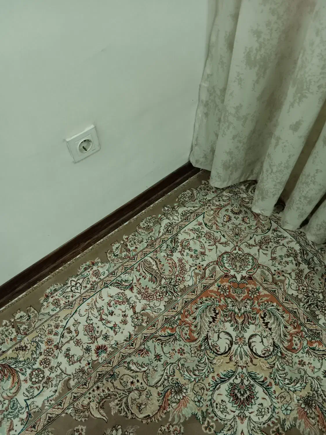 فرش|فرش|تهران, تختی|دیوار