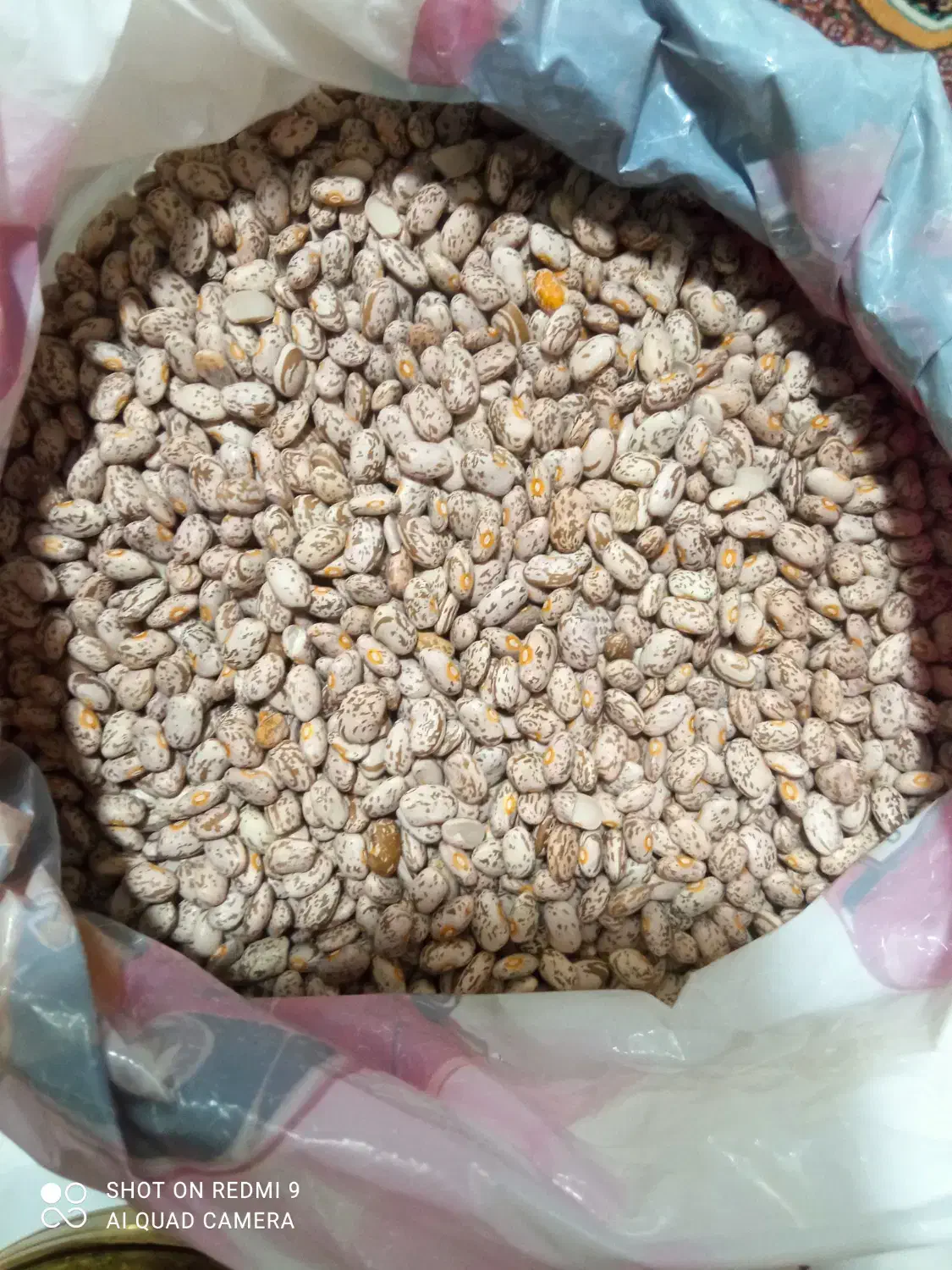 لوبیا دولتی حدود یک تن|خوردنی و آشامیدنی|سراب, |دیوار