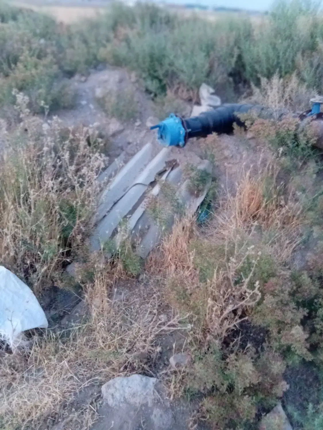 یک قطعه زمین به مساحت ۳۷۳۳متردارای آب ۶ دانگ|فروش زمین و ملک کلنگی|نظرآباد, نجم آباد|دیوار